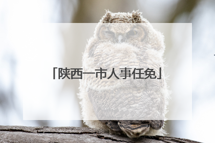 陕西一市人事任免