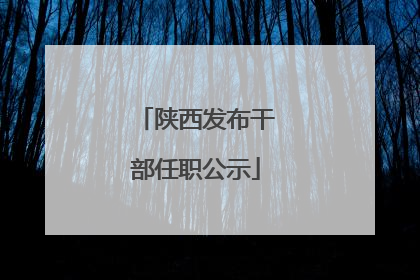 陕西发布干部任职公示