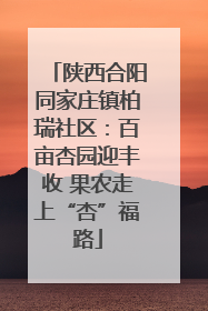 陕西合阳同家庄镇柏瑞社区：百亩杏园迎丰收 果农走上“杏”福路