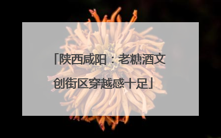 陕西咸阳：老糖酒文创街区穿越感十足