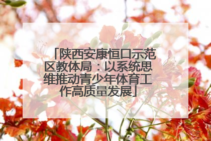 陕西安康恒口示范区教体局：以系统思维推动青少年体育工作高质量发展
