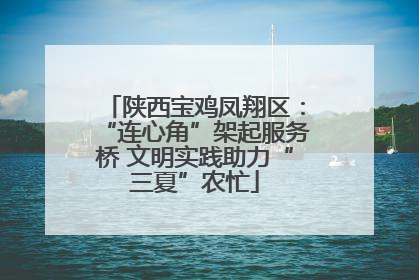 陕西宝鸡凤翔区：“连心角”架起服务桥 文明实践助力“三夏”农忙
