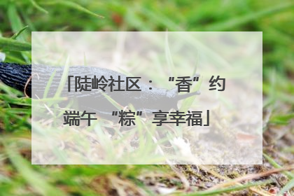 陡岭社区：“香”约端午 “粽”享幸福