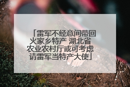 雷军不经意间带回火家乡特产 湖北省农业农村厅或可考虑请雷军当特产大使