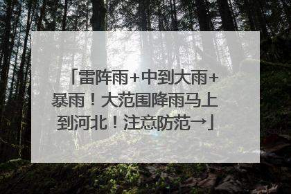 雷阵雨+中到大雨+暴雨！大范围降雨马上到河北！注意防范→