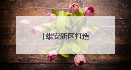 雄安新区打造青年友好之城