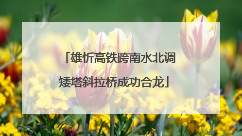 雄忻高铁跨南水北调矮塔斜拉桥成功合龙