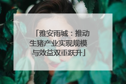雅安雨城：推动生猪产业实现规模与效益双重跃升