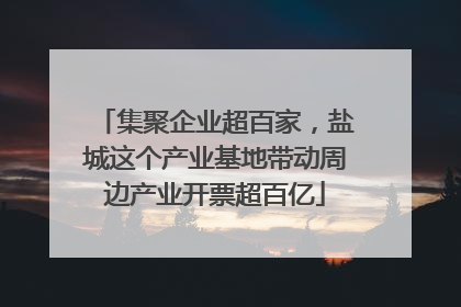 集聚企业超百家，盐城这个产业基地带动周边产业开票超百亿