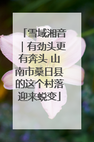 雪域湘音｜有劲头更有奔头 山南市桑日县的这个村落迎来蜕变