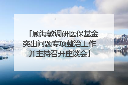顾海敏调研医保基金突出问题专项整治工作并主持召开座谈会