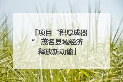 项目“积厚成器” 茂名县域经济释放新动能