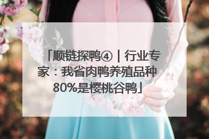 顺链探鸭④｜行业专家：我省肉鸭养殖品种80%是樱桃谷鸭