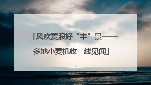 风吹麦浪好“丰”景——多地小麦机收一线见闻