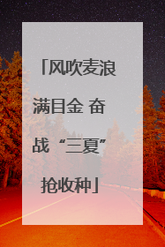 风吹麦浪满目金 奋战“三夏”抢收种