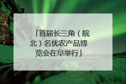 首届长三角（皖北）名优农产品博览会在阜举行