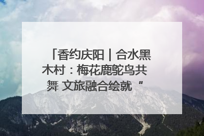 香约庆阳｜合水黑木村：梅花鹿鸵鸟共舞 文旅融合绘就“诗与远方”