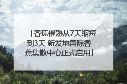 香蕉催熟从7天缩短到3天 新发地国际香蕉集散中心正式启用