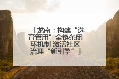 龙南：构建“选育管用”全链条闭环机制 激活社区治理“新引擎”