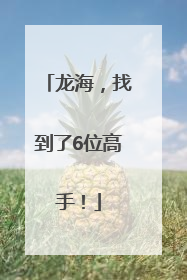 龙海，找到了6位高手！
