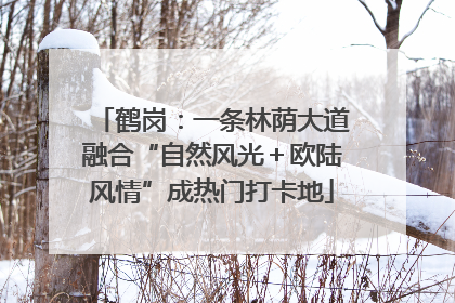鹤岗：一条林荫大道融合“自然风光＋欧陆风情”成热门打卡地