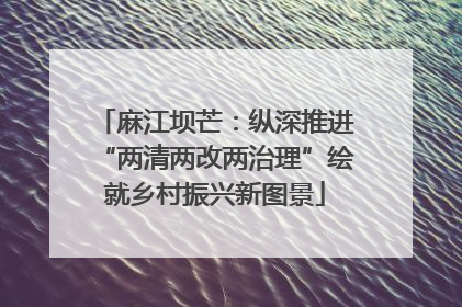 麻江坝芒：纵深推进“两清两改两治理”绘就乡村振兴新图景