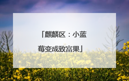 麒麟区：小蓝莓变成致富果