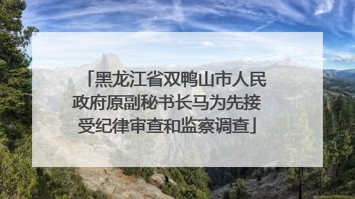 黑龙江省双鸭山市人民政府原副秘书长马为先接受纪律审查和监察调查