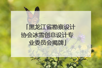 黑龙江省勘察设计协会冰雪创意设计专业委员会揭牌