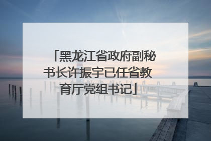 黑龙江省政府副秘书长许振宇已任省教育厅党组书记