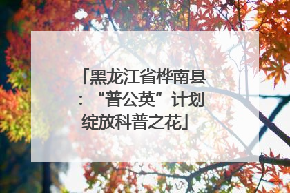 黑龙江省桦南县：“普公英”计划绽放科普之花