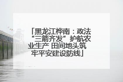 黑龙江桦南：政法“三箭齐发”护航农业生产 田间地头筑牢平安建设防线