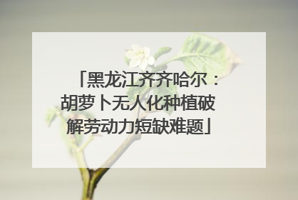 黑龙江齐齐哈尔：胡萝卜无人化种植破解劳动力短缺难题
