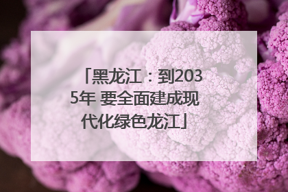 黑龙江：到2035年 要全面建成现代化绿色龙江