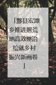 黟县宏潭乡推进撂荒地高效整治 绘就乡村振兴新画卷