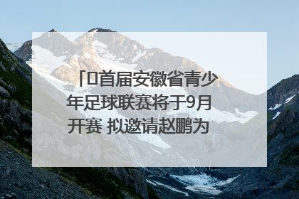﻿首届安徽省青少年足球联赛将于9月开赛 拟邀请赵鹏为先导赛开球