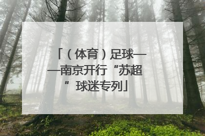 （体育）足球——南京开行“苏超”球迷专列