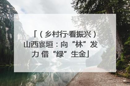（乡村行·看振兴）山西襄垣：向“林”发力 借“绿”生金