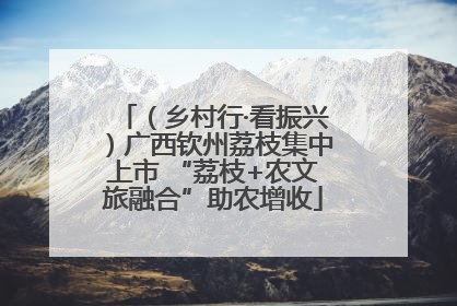 （乡村行·看振兴）广西钦州荔枝集中上市 “荔枝+农文旅融合”助农增收