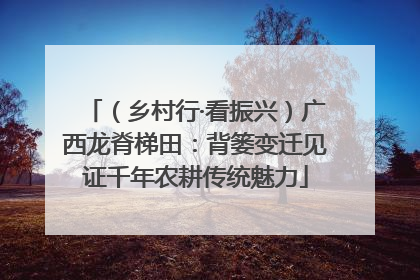 （乡村行·看振兴）广西龙脊梯田：背篓变迁见证千年农耕传统魅力