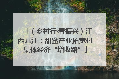 （乡村行·看振兴）江西九江：甜蜜产业拓宽村集体经济“增收路”