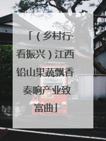 （乡村行·看振兴）江西铅山果蔬飘香 奏响产业致富曲