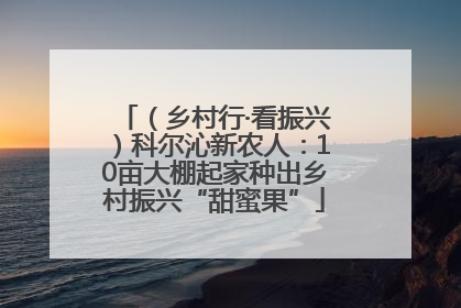 （乡村行·看振兴）科尔沁新农人：10亩大棚起家种出乡村振兴“甜蜜果”
