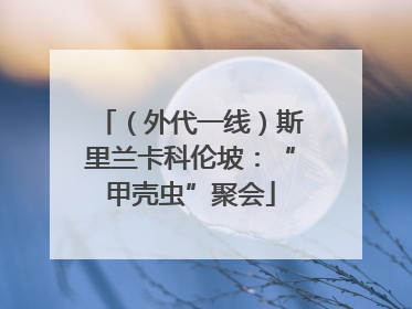 （外代一线）斯里兰卡科伦坡：“甲壳虫”聚会
