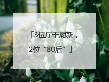 3位厅干履新，2位“80后”