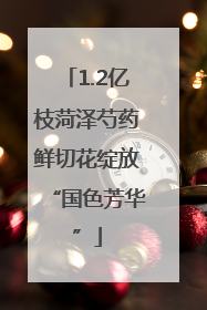 1.2亿枝菏泽芍药鲜切花绽放“国色芳华”