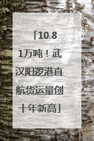 10.81万吨！武汉阳逻港直航货运量创十年新高