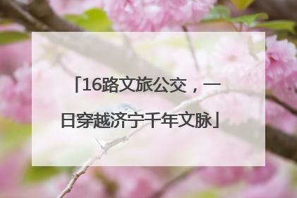16路文旅公交，一日穿越济宁千年文脉