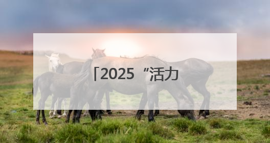 2025“活力夜广西”嘉年华玉林主场活动开启
