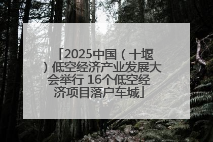2025中国（十堰）低空经济产业发展大会举行 16个低空经济项目落户车城